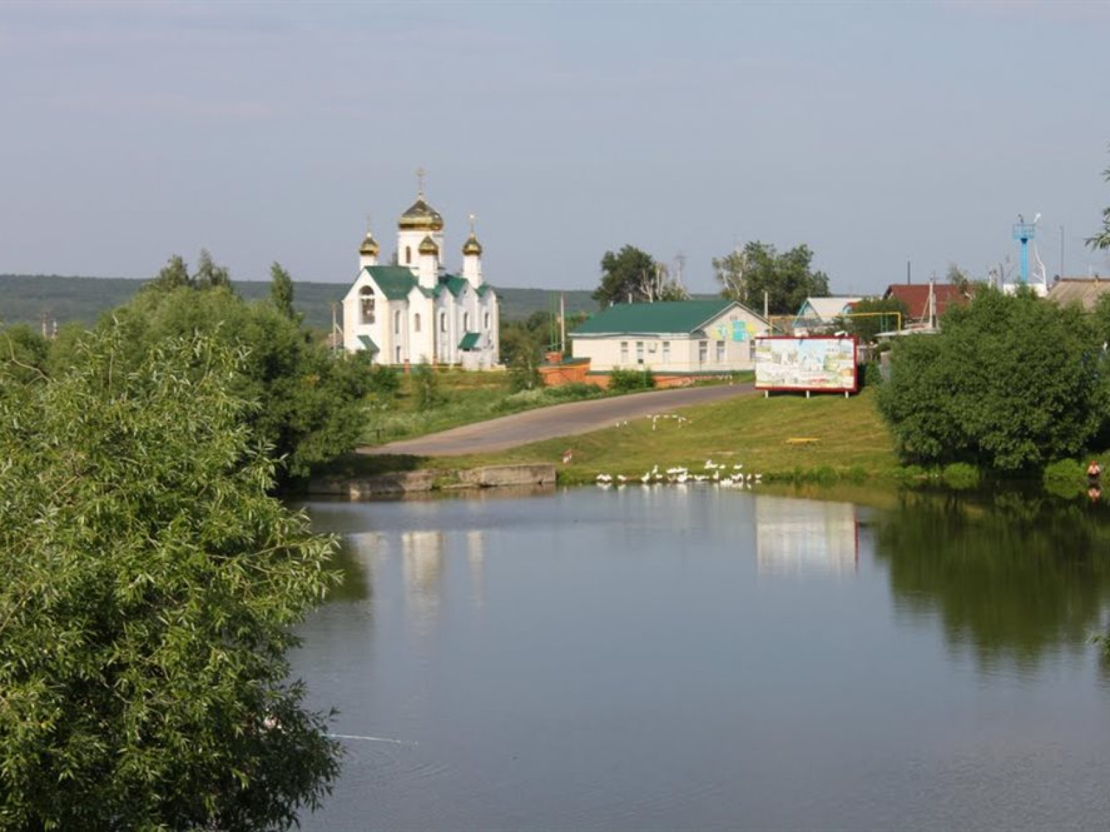 Где Купить В Ульяновской Области